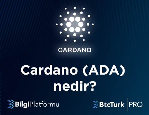 Ada Kripto Para Birimi ve Kullanım Alanları