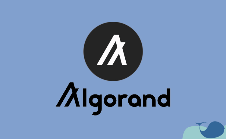 Algorand blockchain ağına güvenli erişim sağlamanın önemi